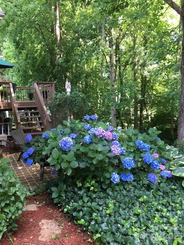 Cambridge Grove - Residential