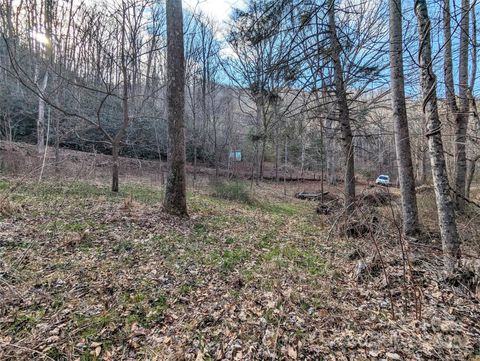 99999 Christian Creek Road Swannanoa NC 28778