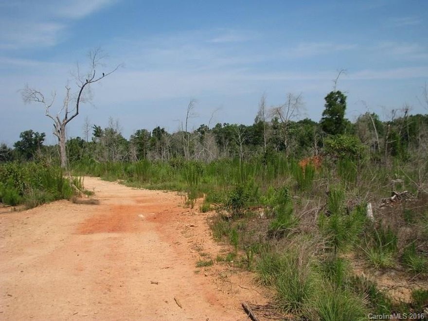 Level to gently sloping land in nice rural area.  Land was planted in 2014 with improved loblolly pines which are about 2-5 feet tall.  These young pines could be grown for future cash or easily cleared into pasture.