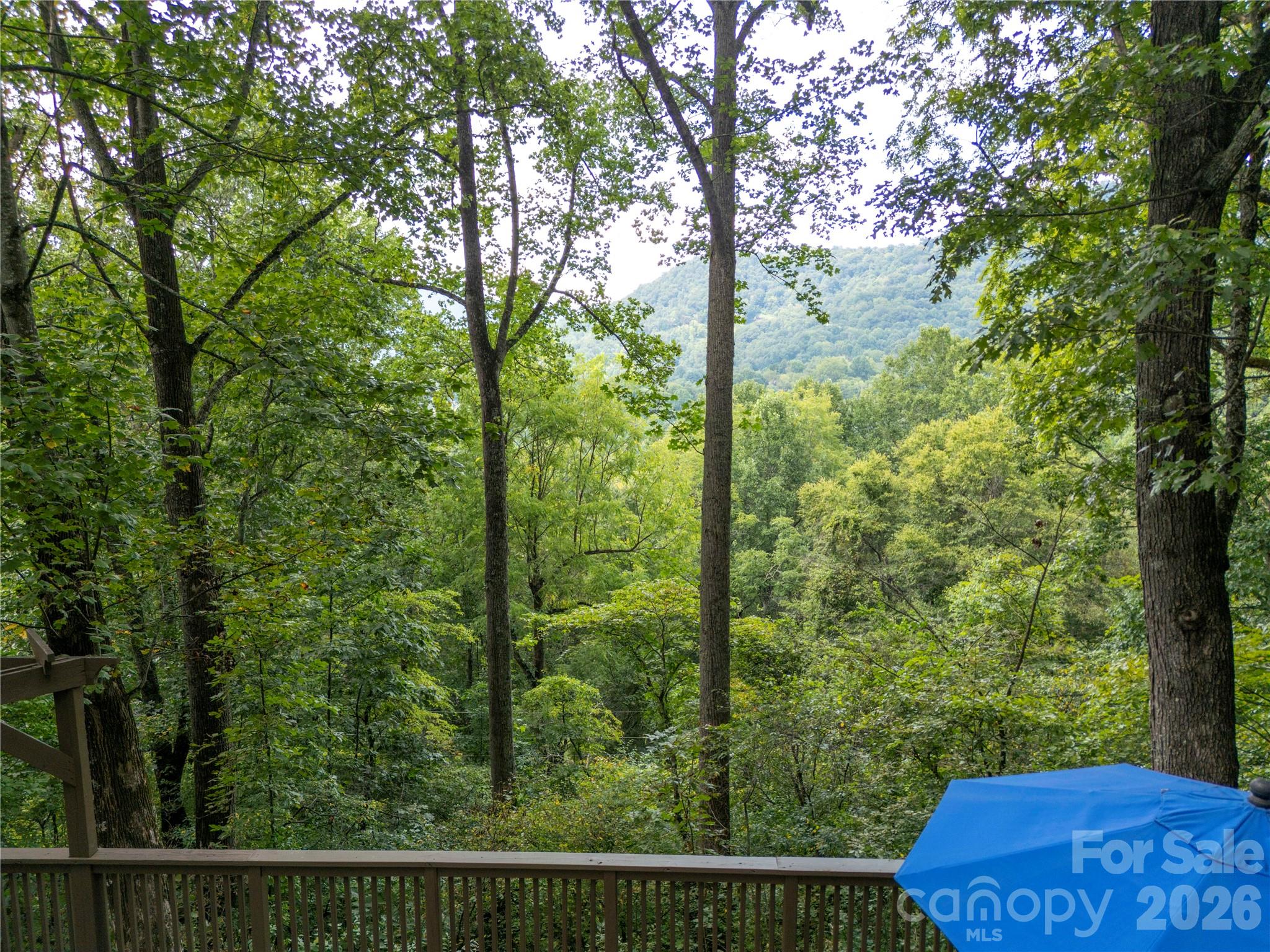 1073 Countryside Drive
