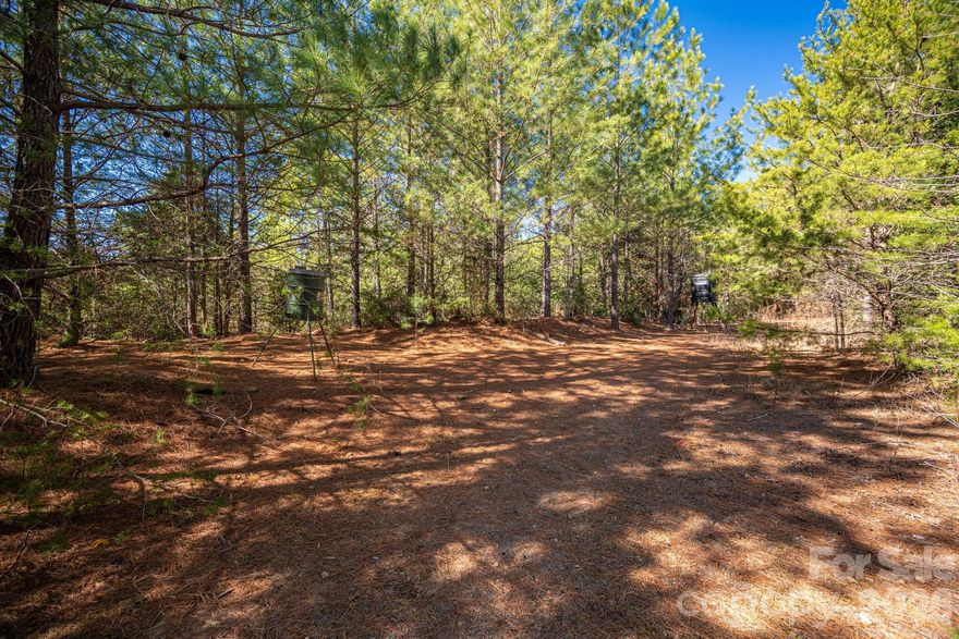 Excellent opportunity to own a 54+/- Acre tract of land with convenient frontage on Hwy 18 in Burke County. This tract features a gently rolling to moderately sloped topography, making it well suited for timber investment (currently in Forestry Program for Taxes) recreational use, or a private retreat. The property is wooded, offering privacy, wildlife habitat, and long term investment potential. With paved road access and easy connectivity to nearby towns, this property provides both seclusion and convenience. Ideal for hunting, hiking, ATV riding, or future timber management. Whether you're looking to expand your timber portfolio, enjoy outdoor recreation, or secure a large acreage tract in a growing area, this Burke County property could be the one.