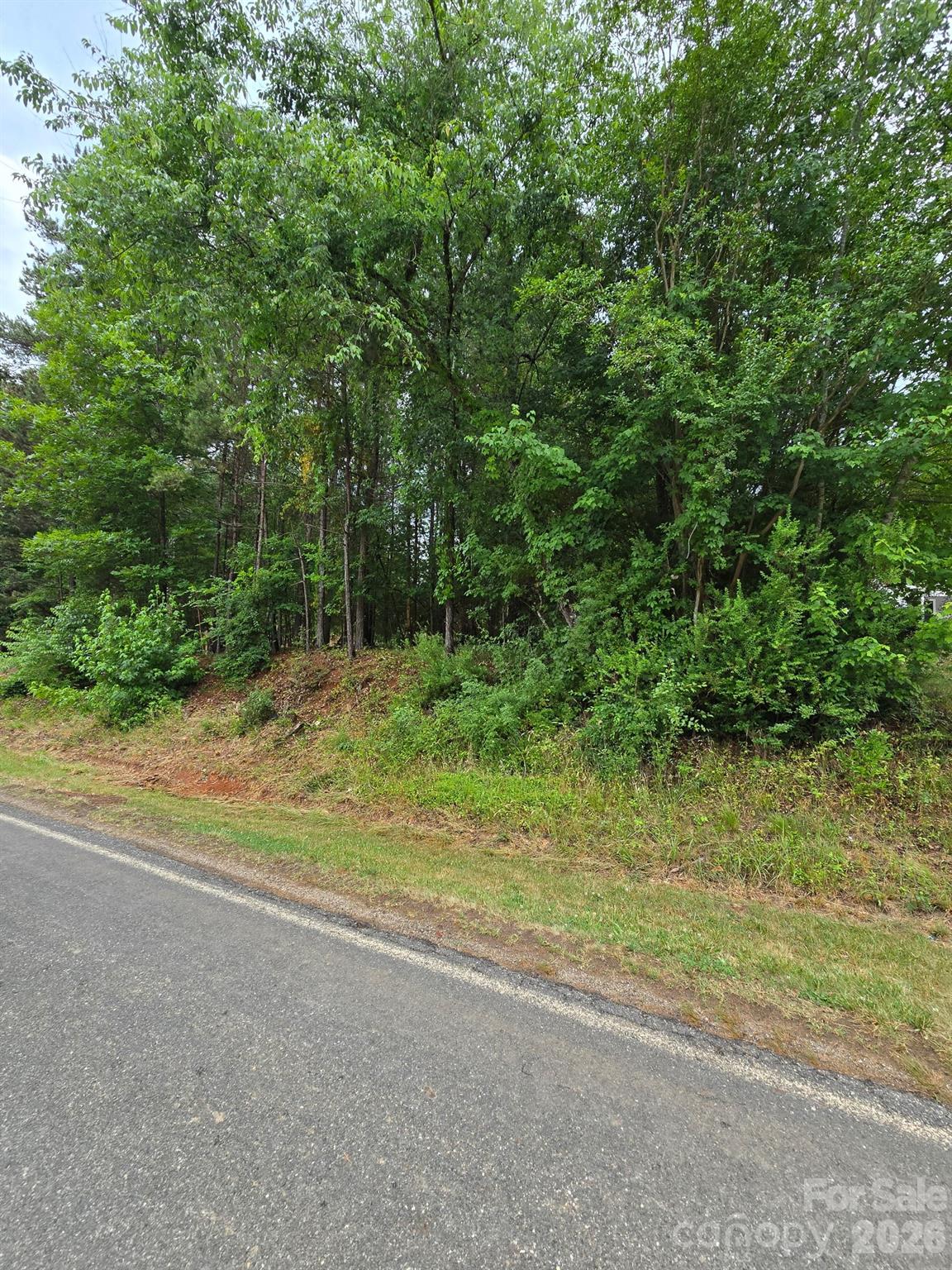 00 Pineville Road 3