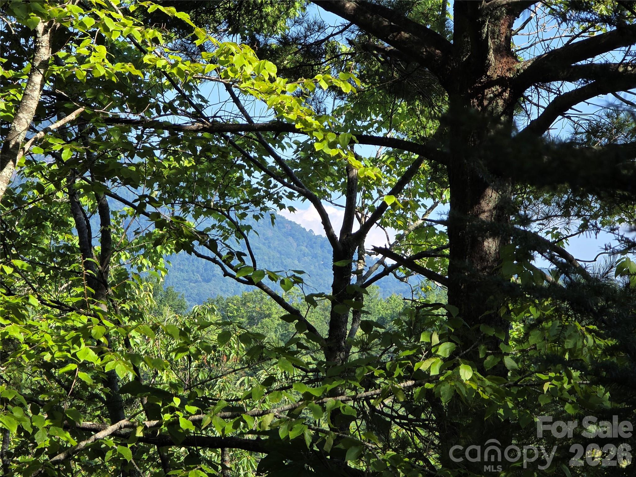 Lot 14B,15B Sequoyah Circle