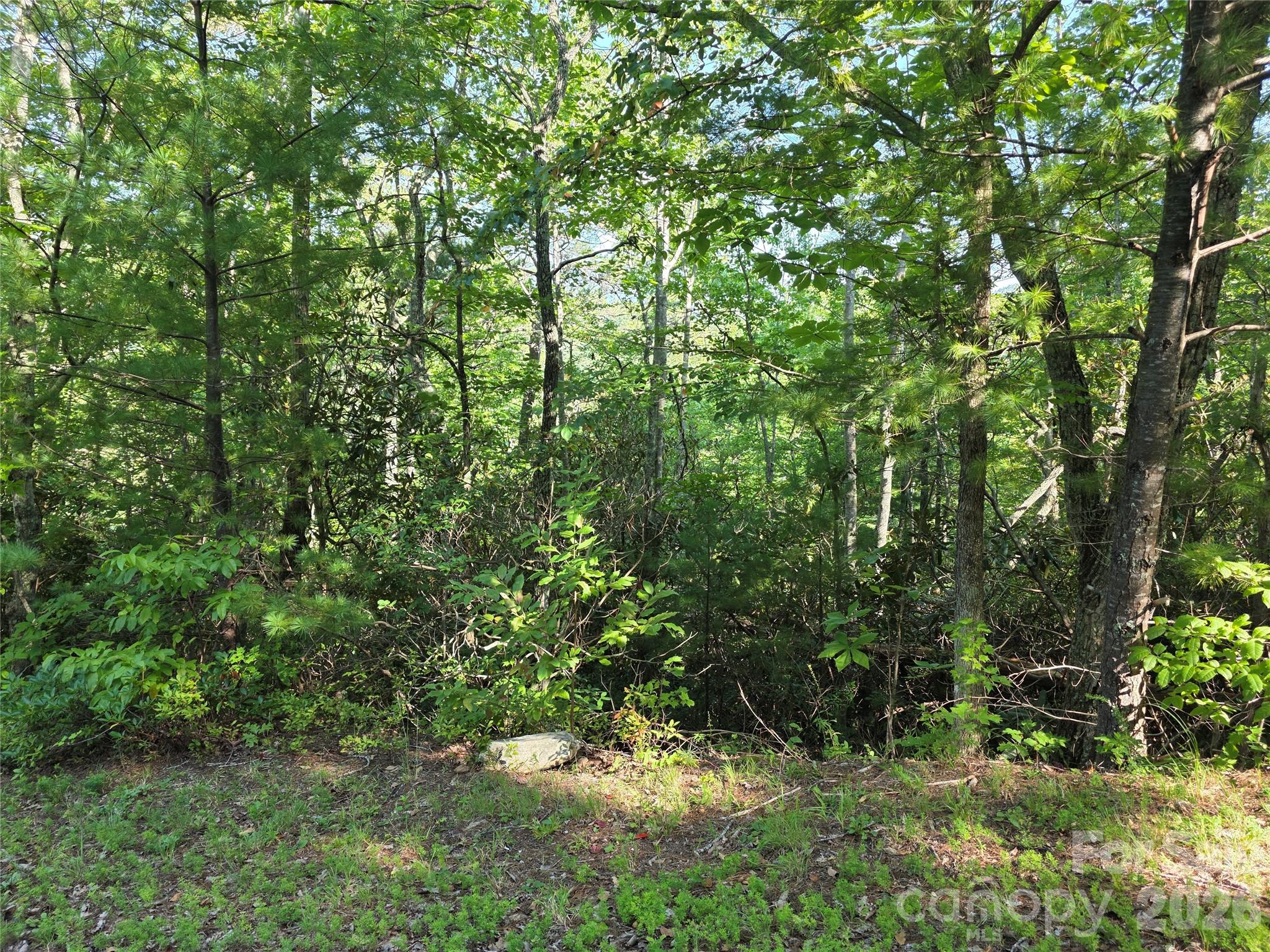 Lot 14B,15B Sequoyah Circle