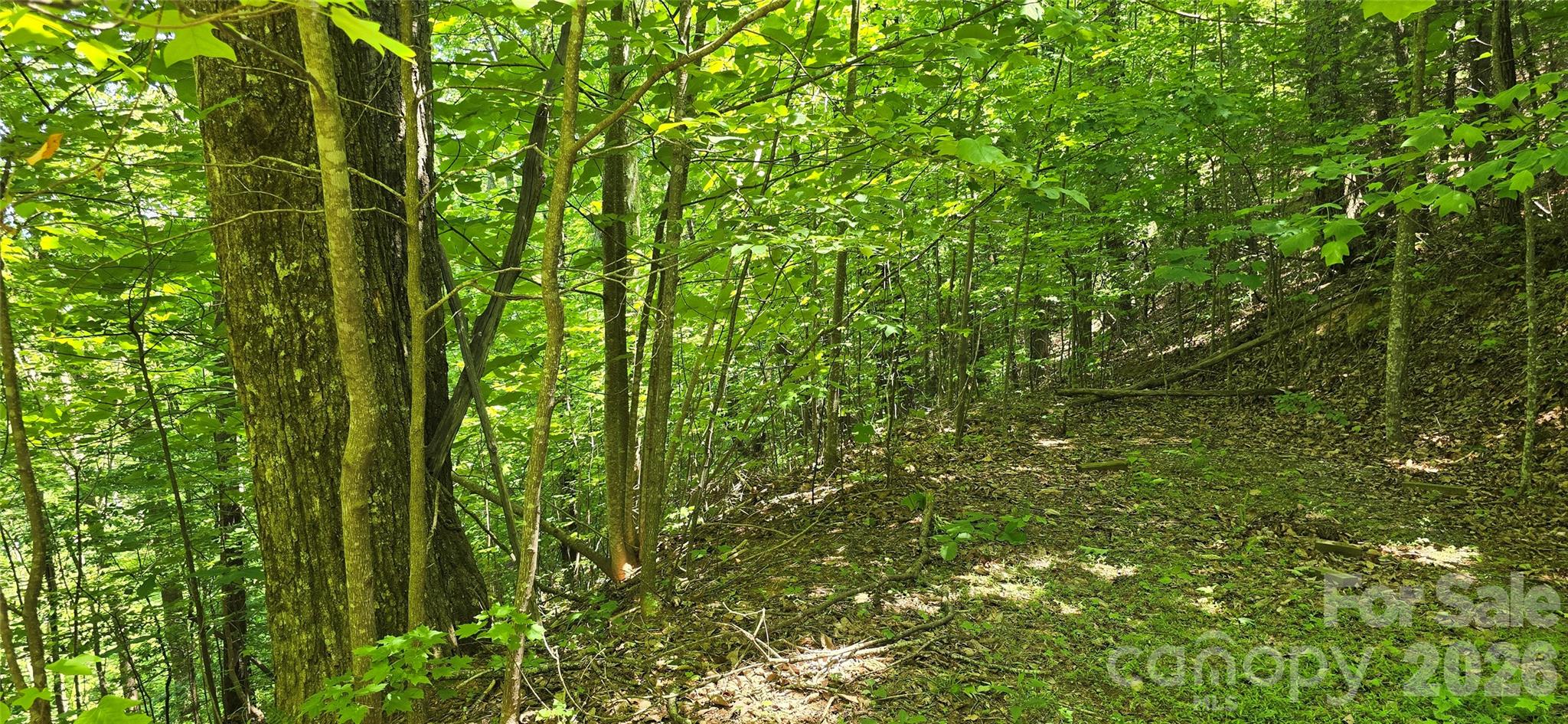 Pinnacle Ridge - Land