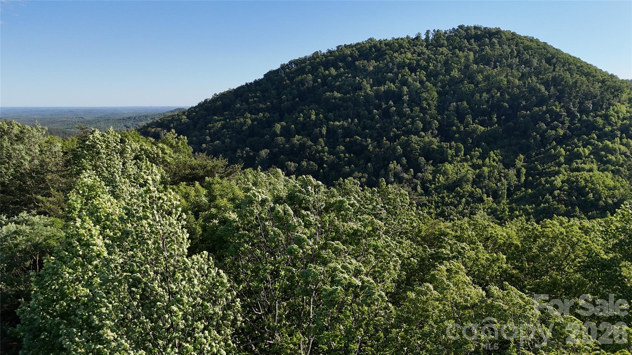 Pinnacle Ridge - Land