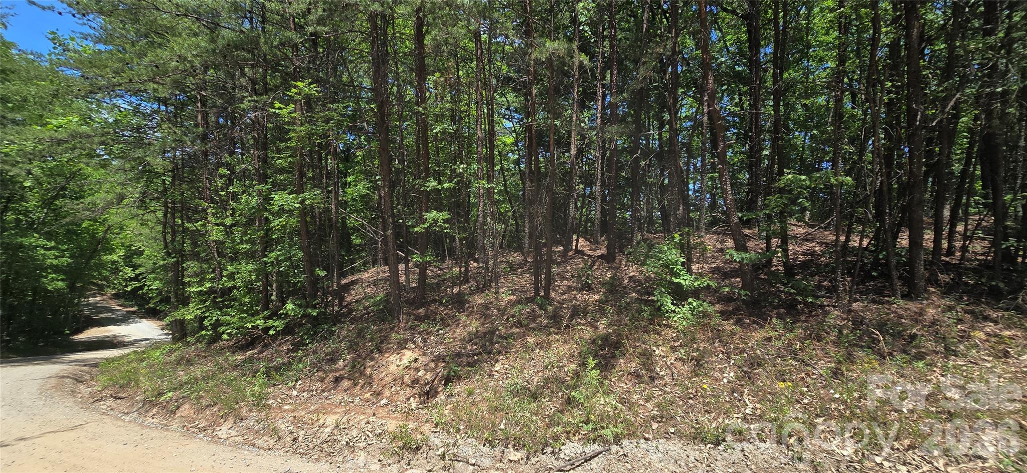 Pinnacle Ridge - Land