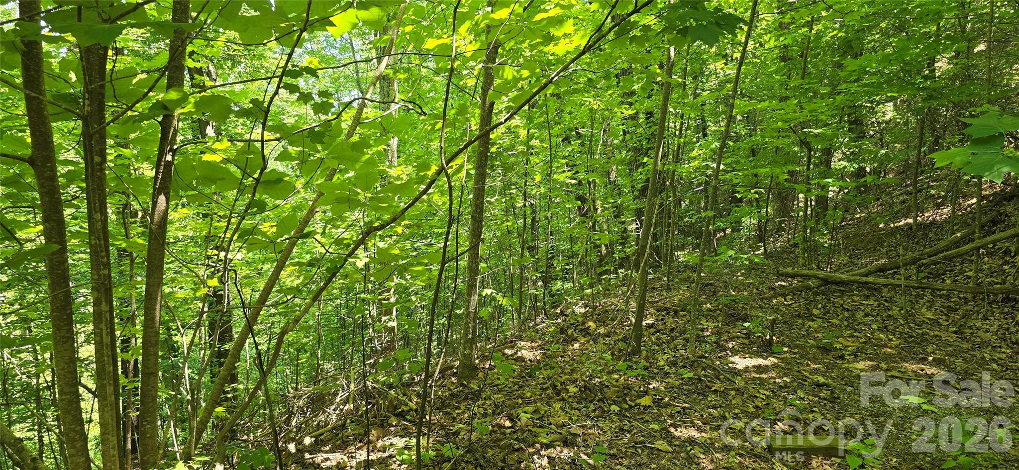 Pinnacle Ridge - Land