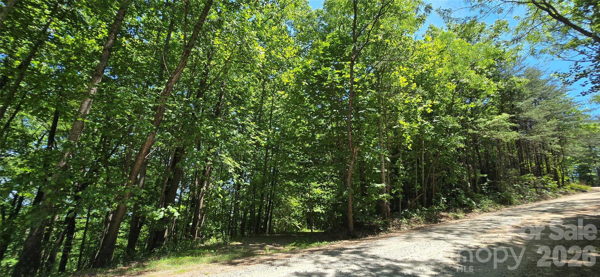 Pinnacle Ridge - Land