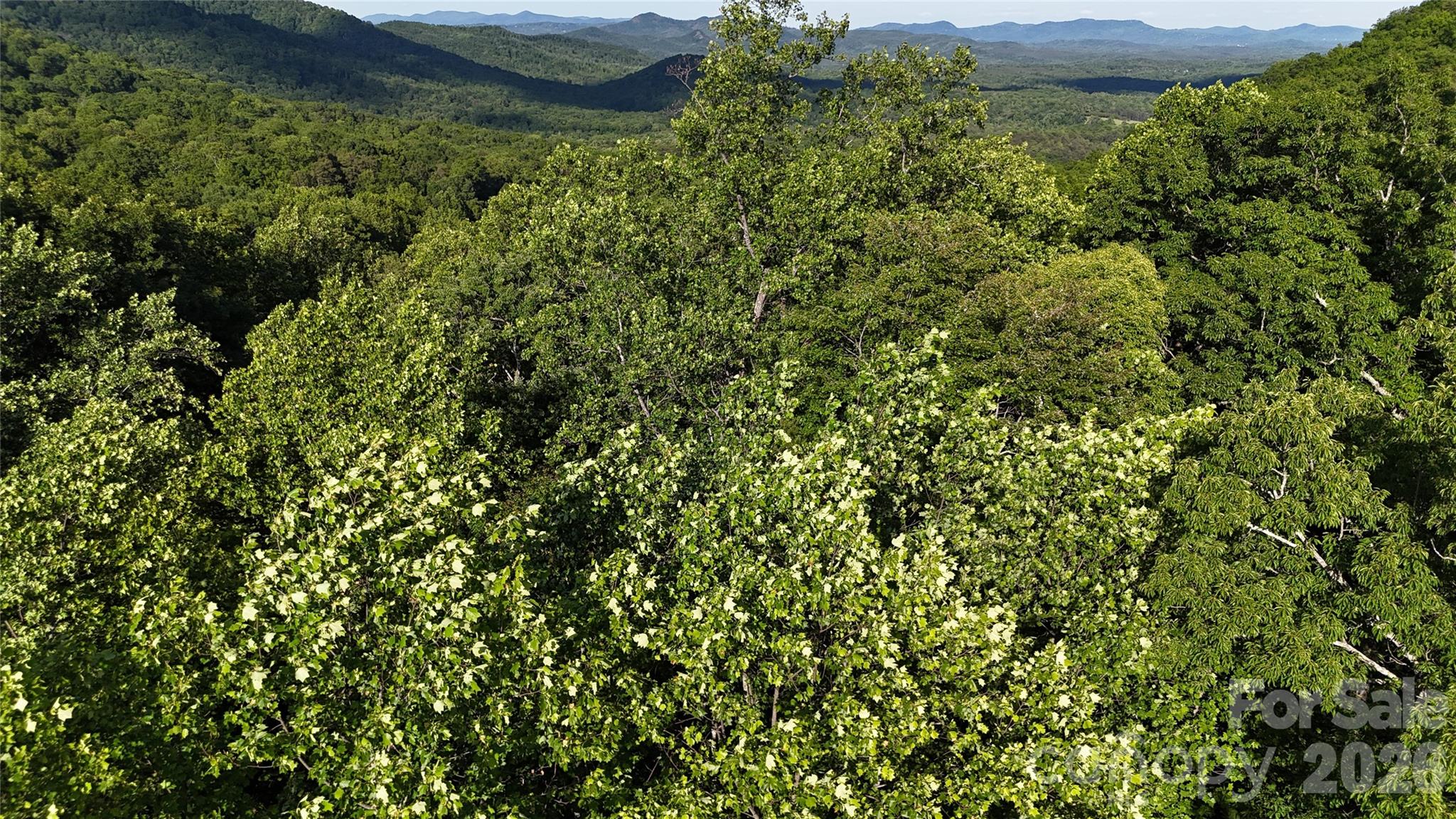 Pinnacle Ridge - Land