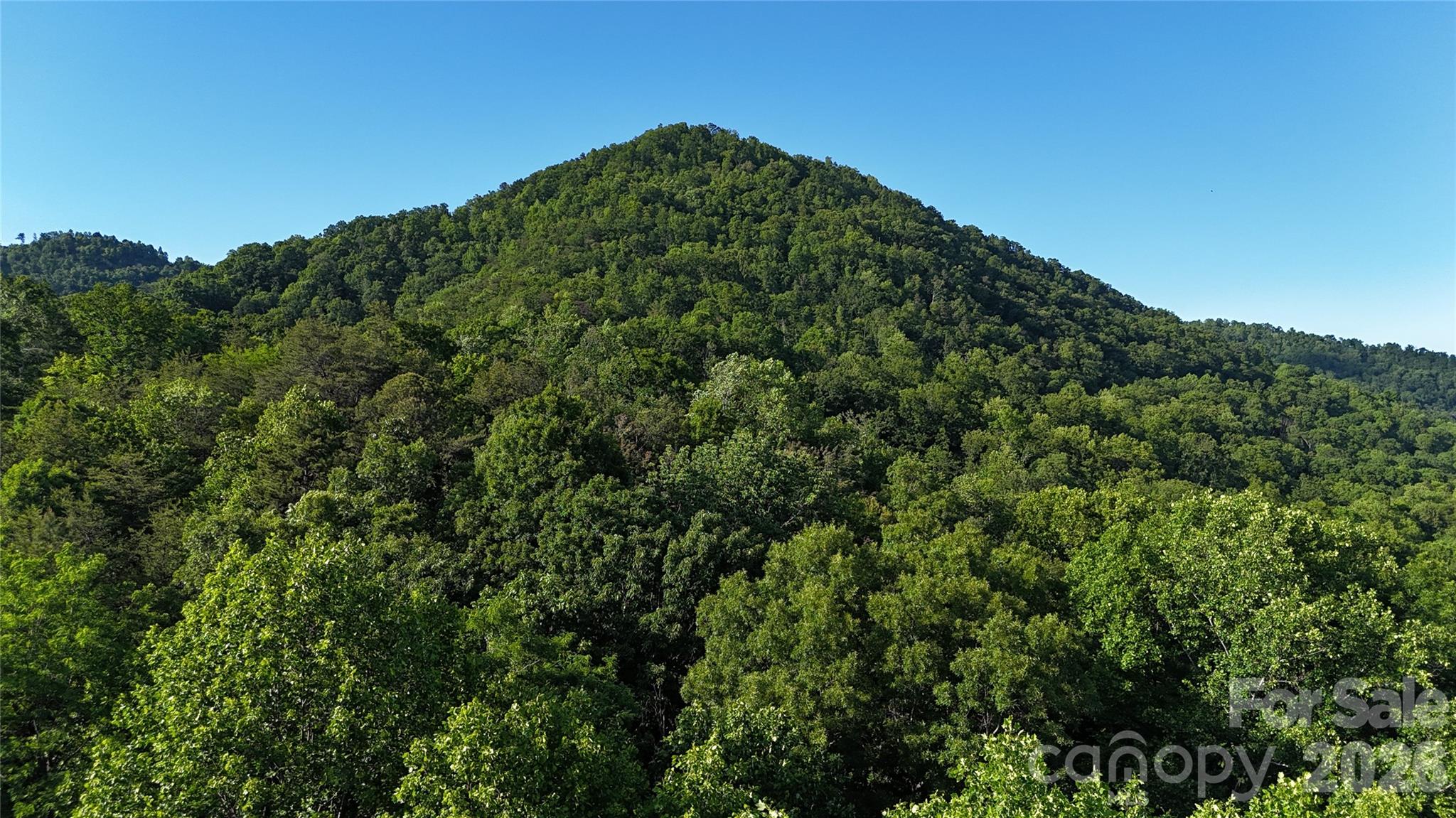 Pinnacle Ridge - Land