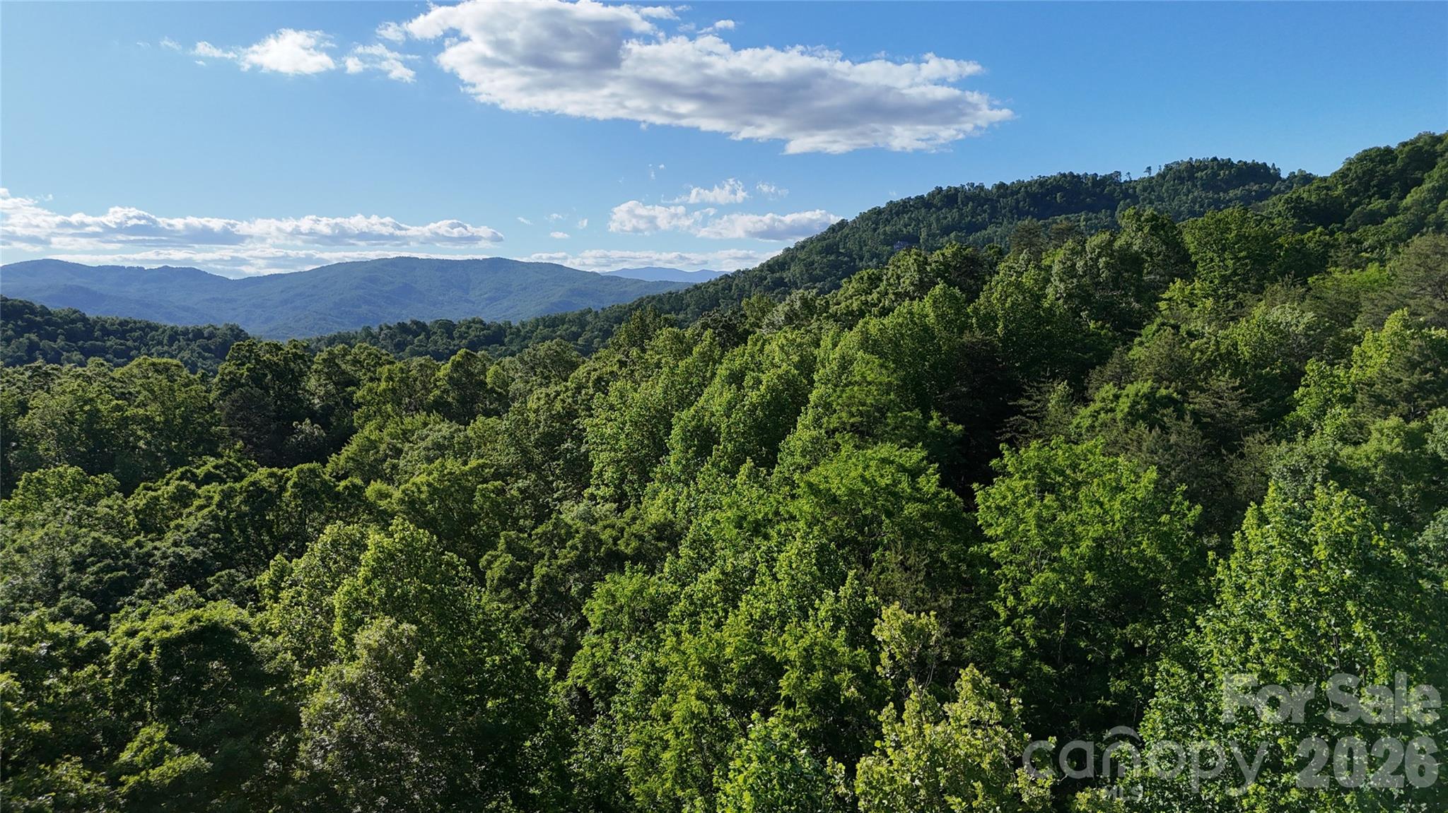 Pinnacle Ridge - Land