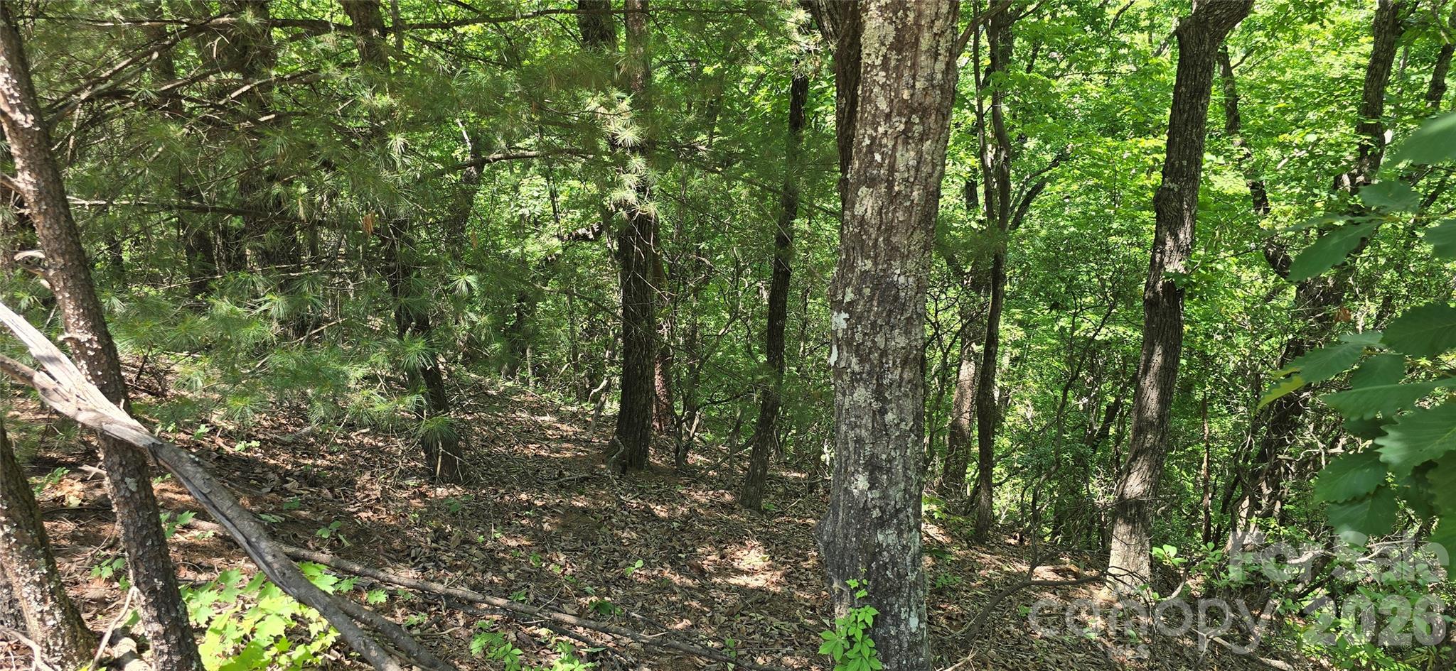 Pinnacle Ridge - Land