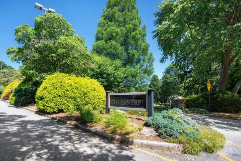 A home in Asheville