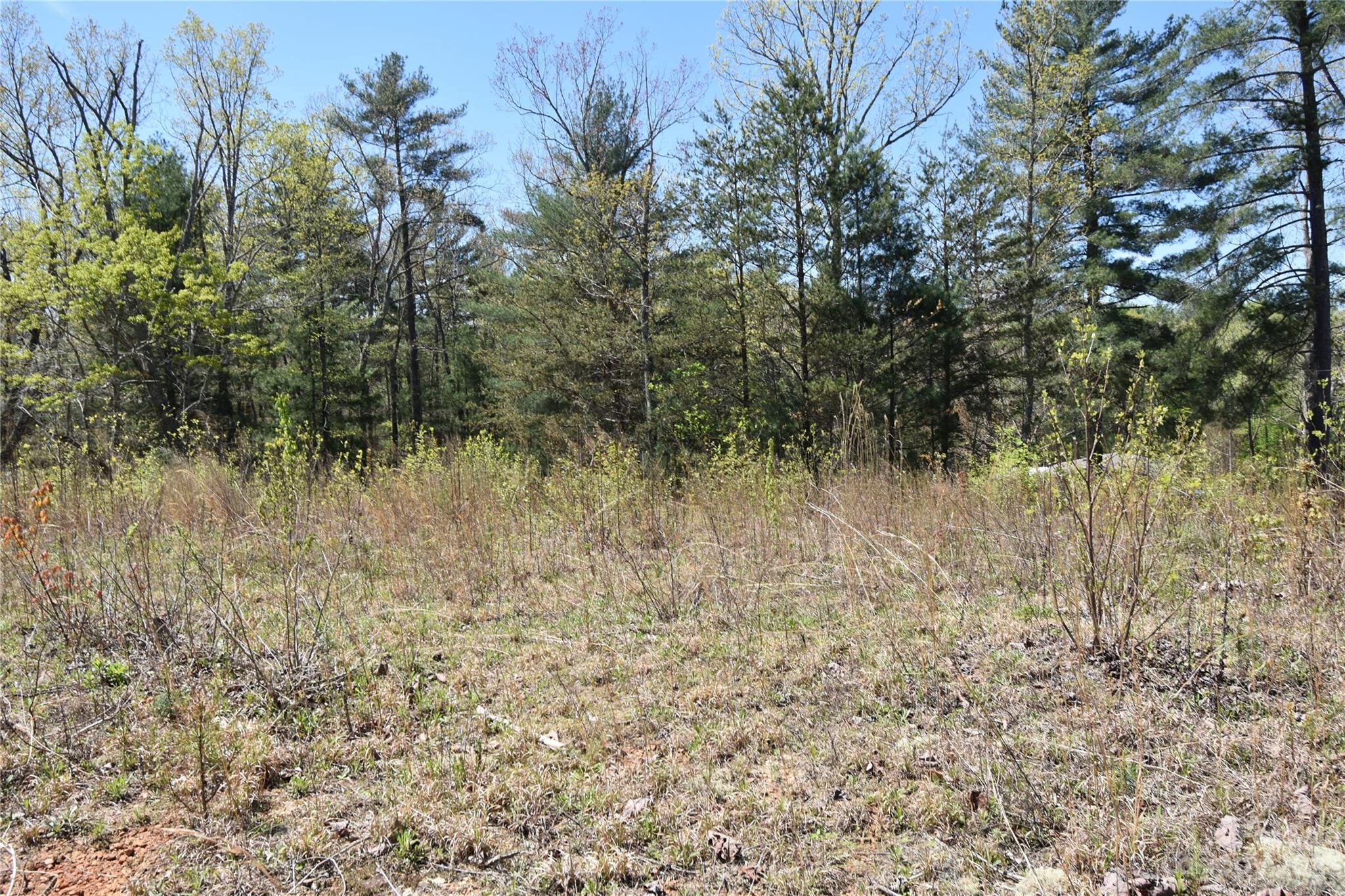 Burkeshire Estates - Land