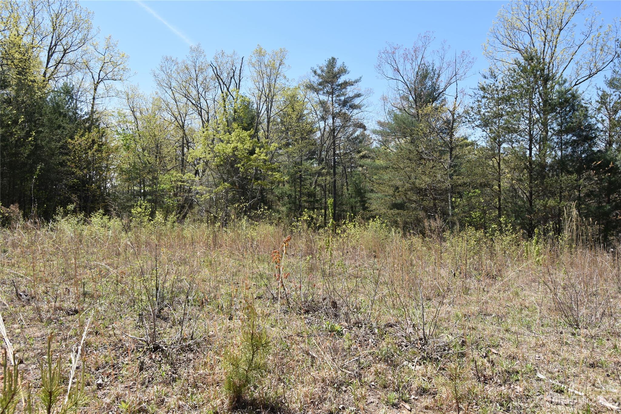 Burkeshire Estates - Land