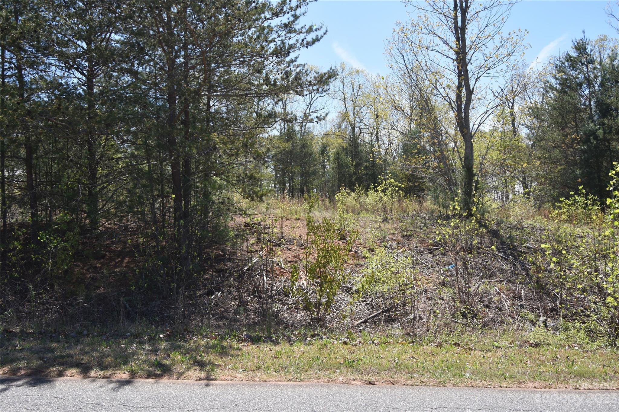 Burkeshire Estates - Land