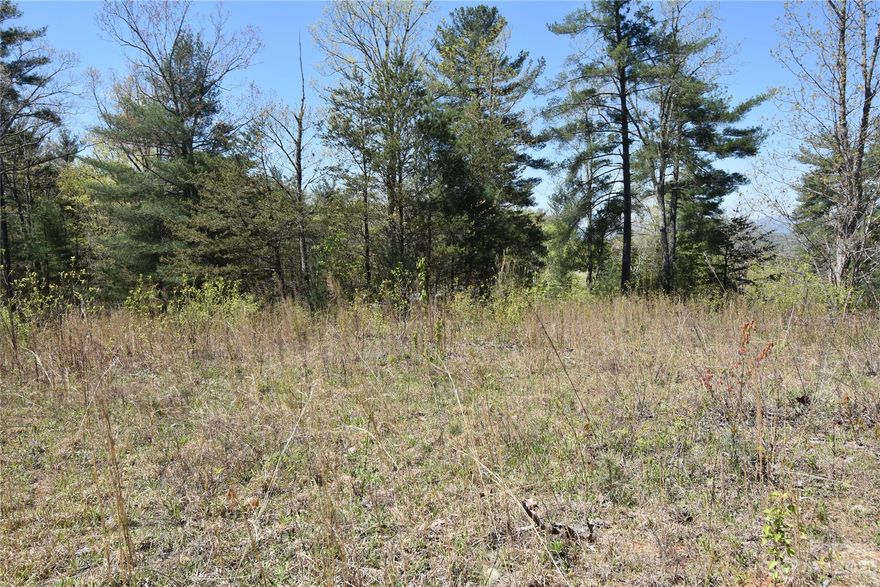 1.48 acres Building site ready for a Singlewide or Doublewide Manufactured Home in Burkeshire Estates. Outside city limits. This lot is mostly level and cleared with trees on three sides as buffer to make the property feel more private. Paved streets, underground utilities, cable, public water and power at the street. Current Survey and Soil Septic Permit already done! Come and see.