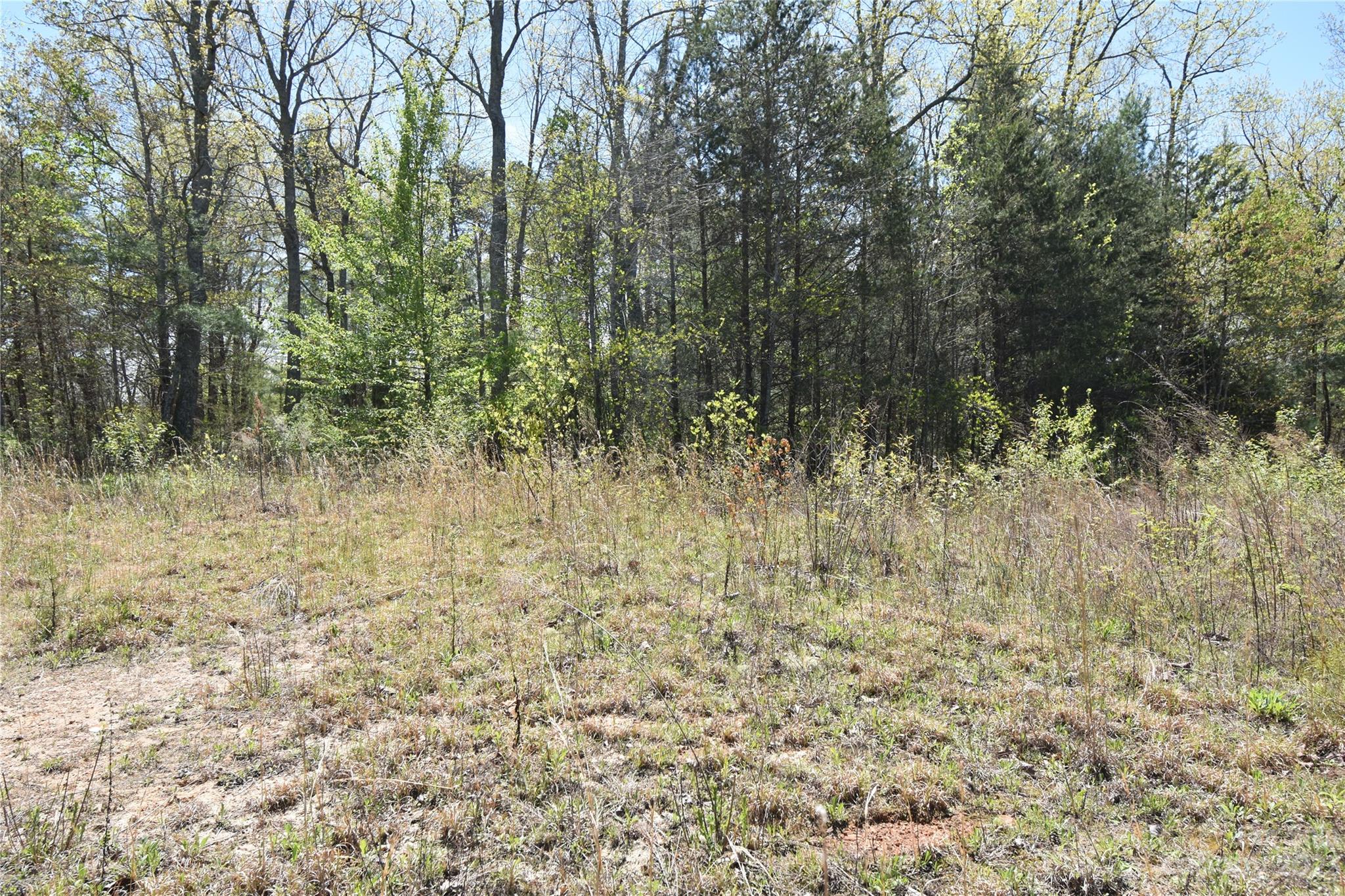 Burkeshire Estates - Land