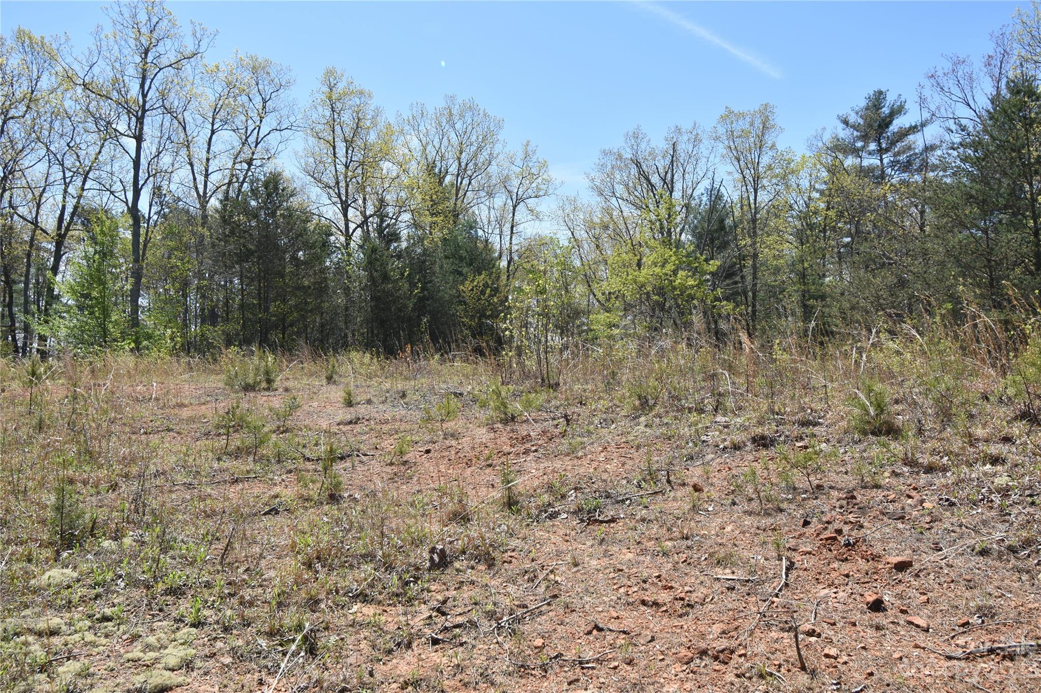 Burkeshire Estates - Land