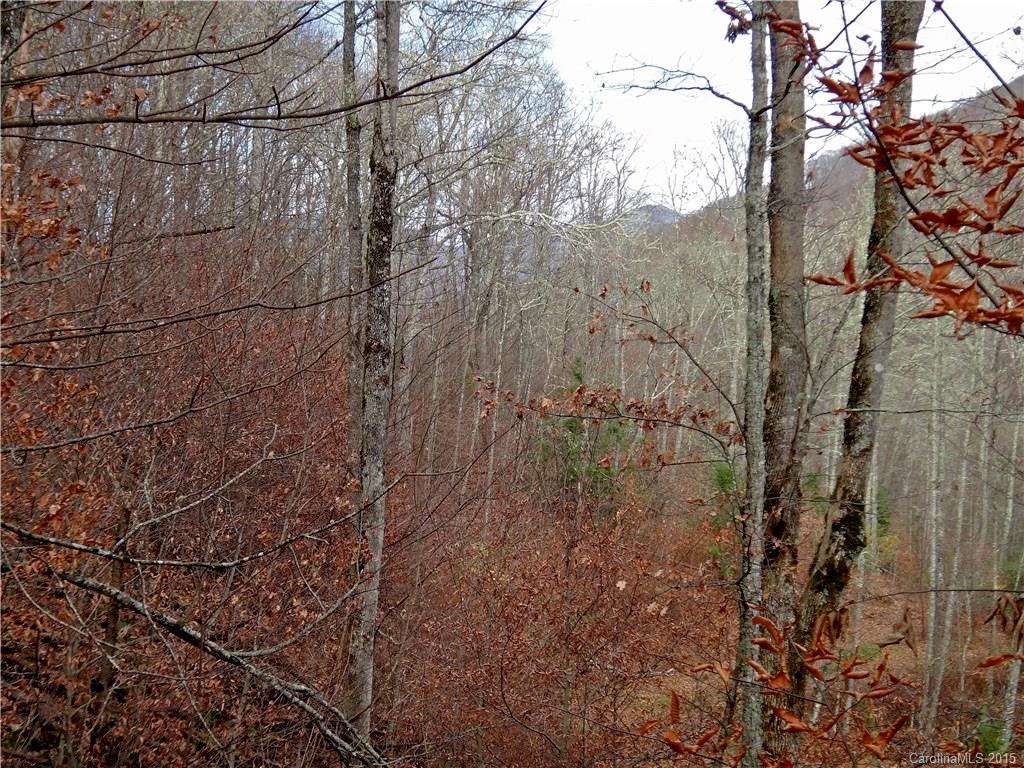 Cranberry Falls - Residential