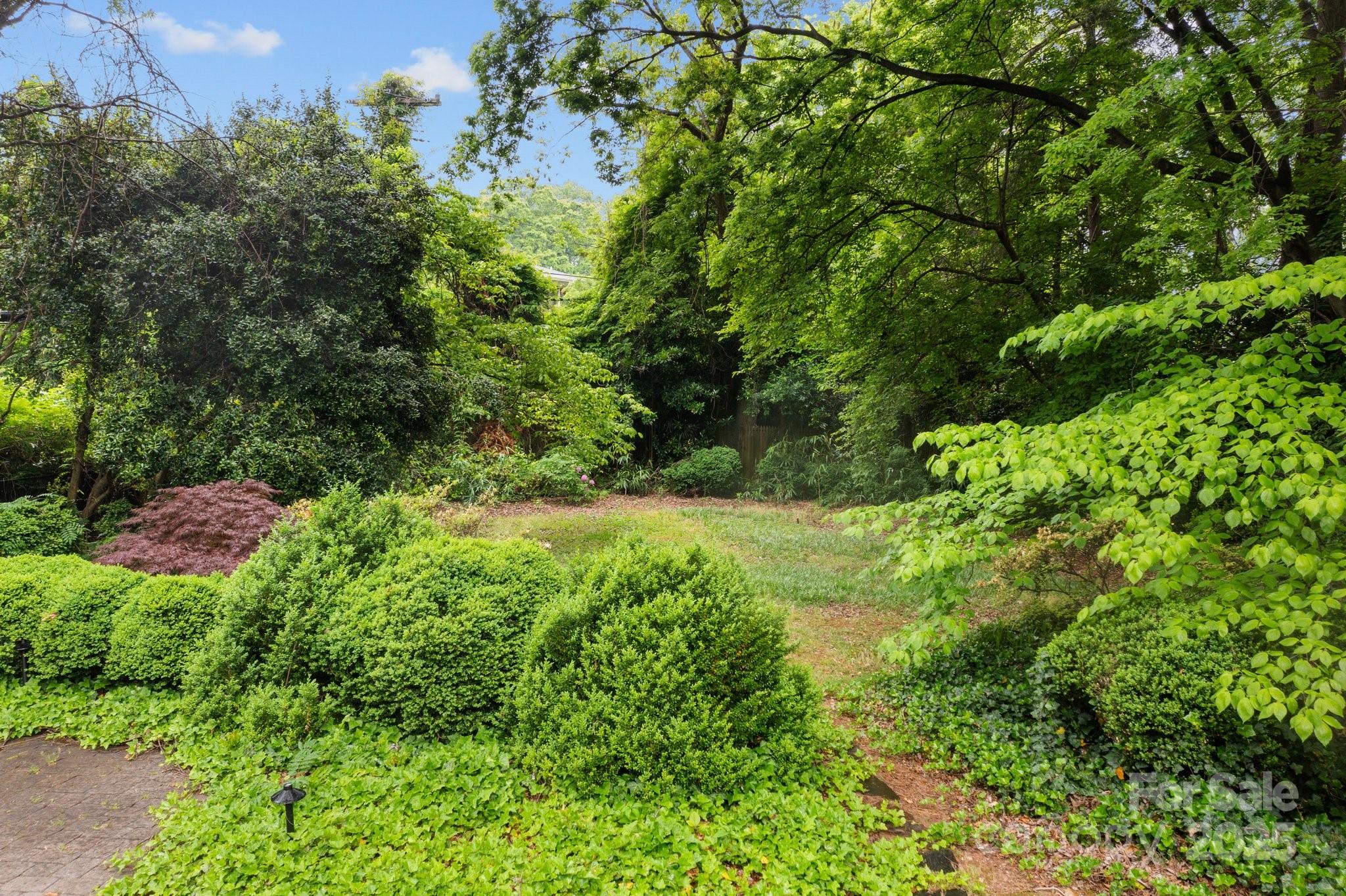 Myers Park - Residential