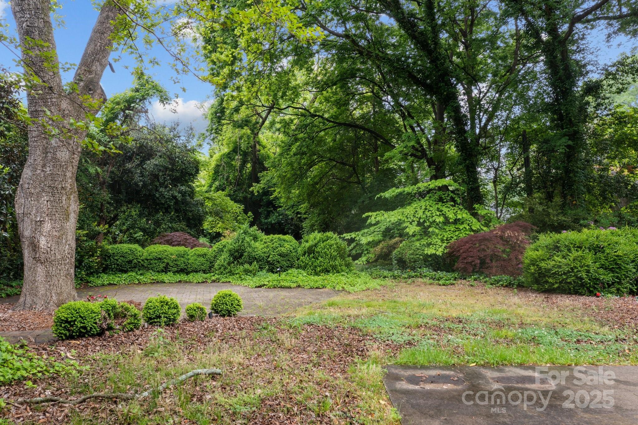 Myers Park - Residential