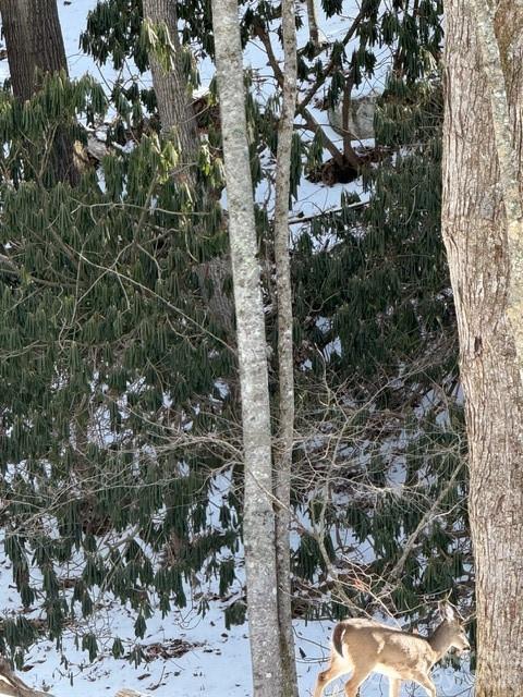 Lot 38 Sonterra Ridge