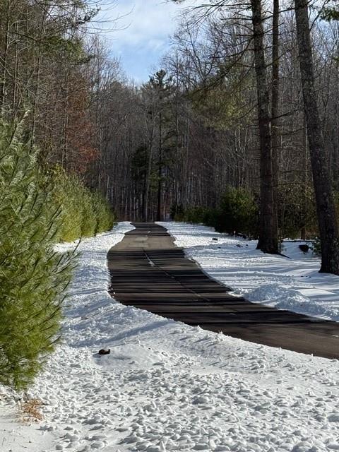 Lot 38 Sonterra Ridge