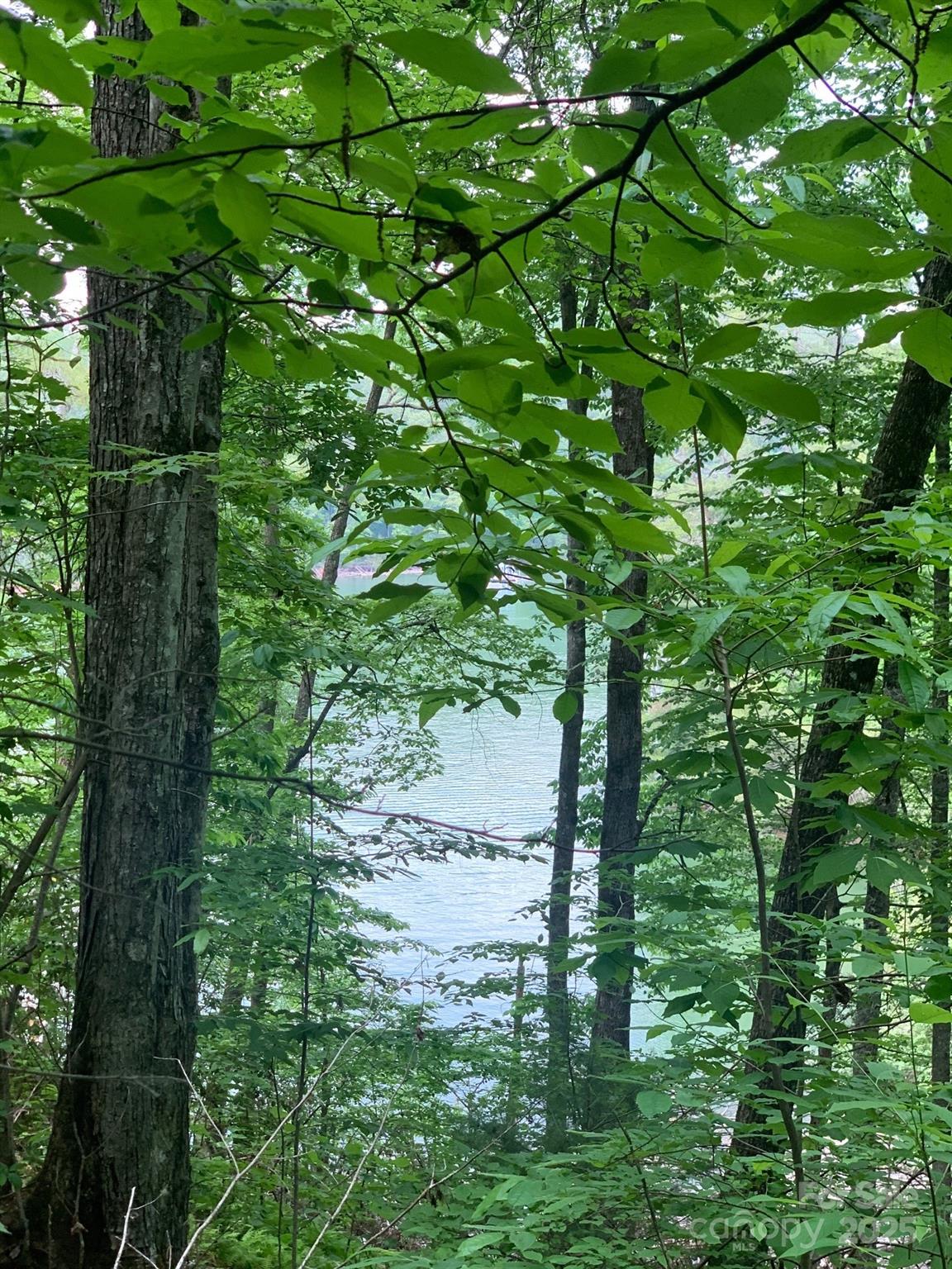 Lot 108-3 Rocky Bluff Drive 108-3