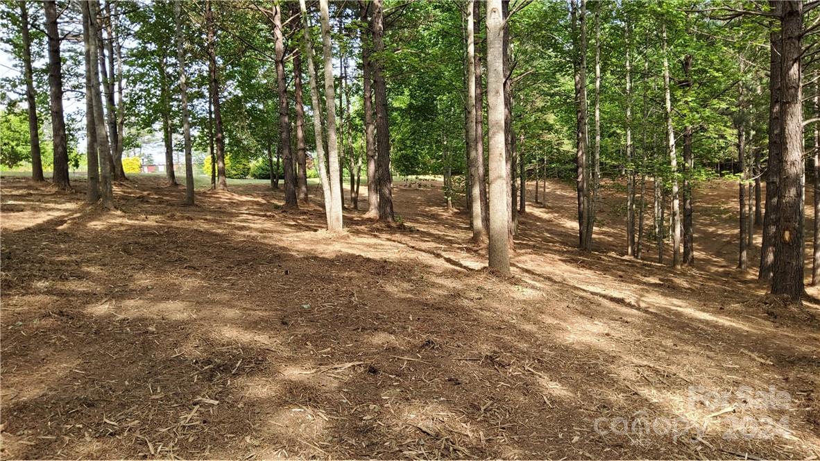 Hearthstone Ridge - Land