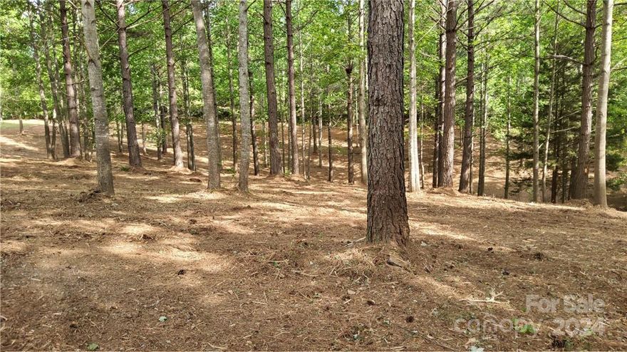 PREMIUM 2.49 ACRES IN HEARTHSTONE RIDGE, UNION MILLS, NC.  This is an ideal level-to-rolling building lot just inside the East Gate of the highly desirable community of Hearthstone Ridge.   This part of the community is less traveled as the main gate is at the other end of the community a few miles away.  Lot is level with the street making it very easy to walk the land and pick the perfect spot for your new home and is an ideal topography for a "walk-out" basement.   No steep, curvy mountain roads to navigate here.  This area is located in the foothills of North Carolina and is known as the "ISOTHERMAL BELT" region providing 4 seasons with mild temperatures.  Simply a wonderful place to live!  This property is centrally located with easy access to local attractions for hiking, swimming, boating, theaters, festivals, zip-lining, horseback riding, golfing, restaurants and shopping.  Come see this lovely spot, you will not be disappointed.