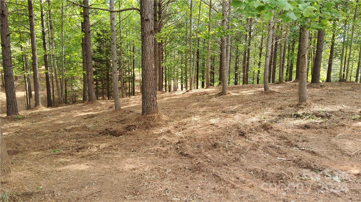 Hearthstone Ridge - Land