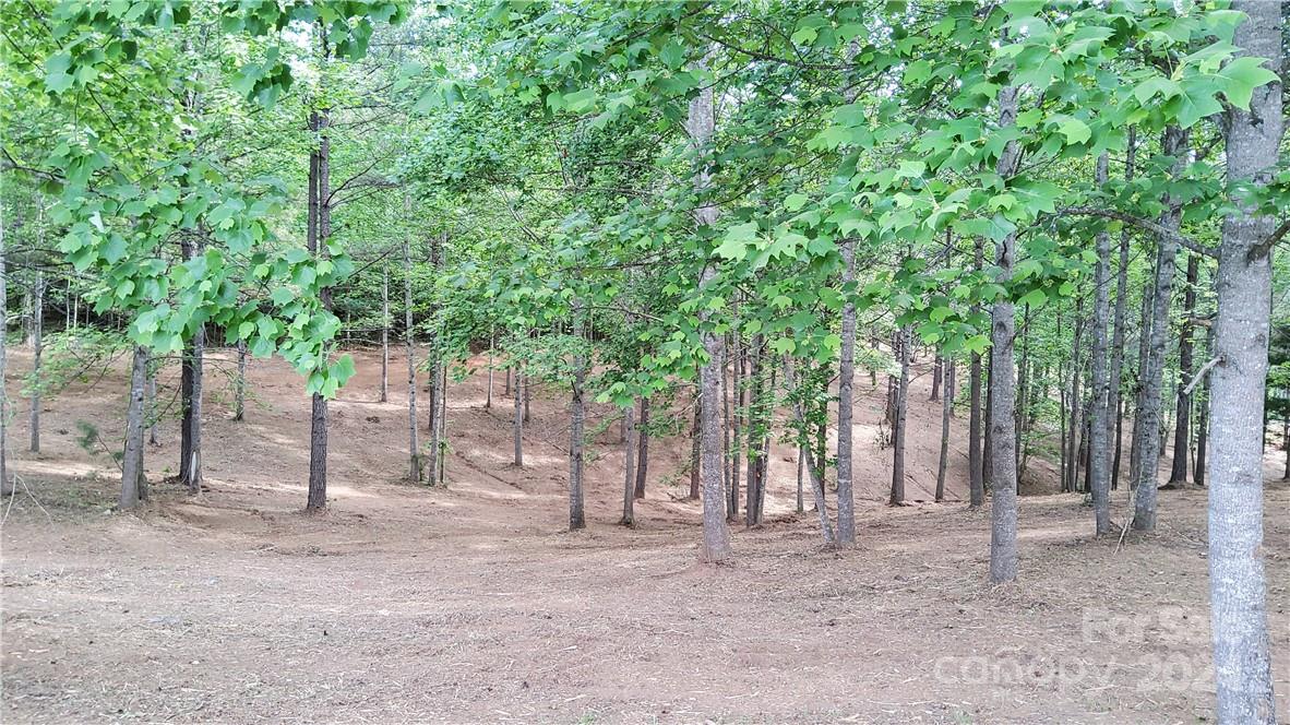 Hearthstone Ridge - Land