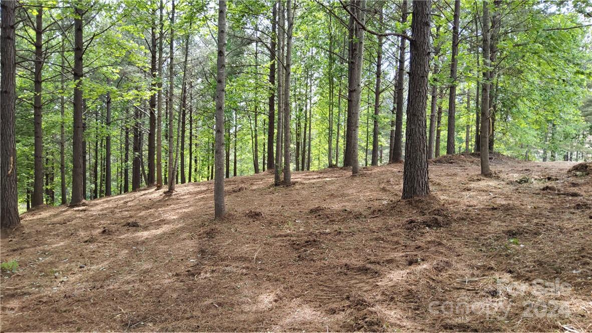 Hearthstone Ridge - Land