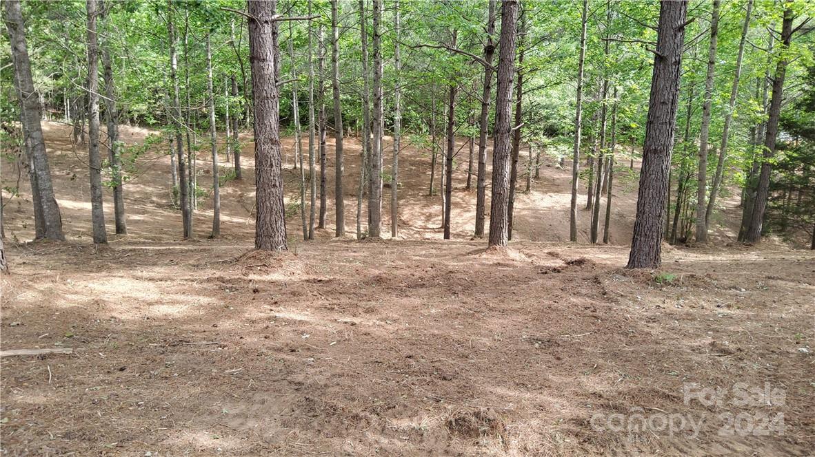 Hearthstone Ridge - Land