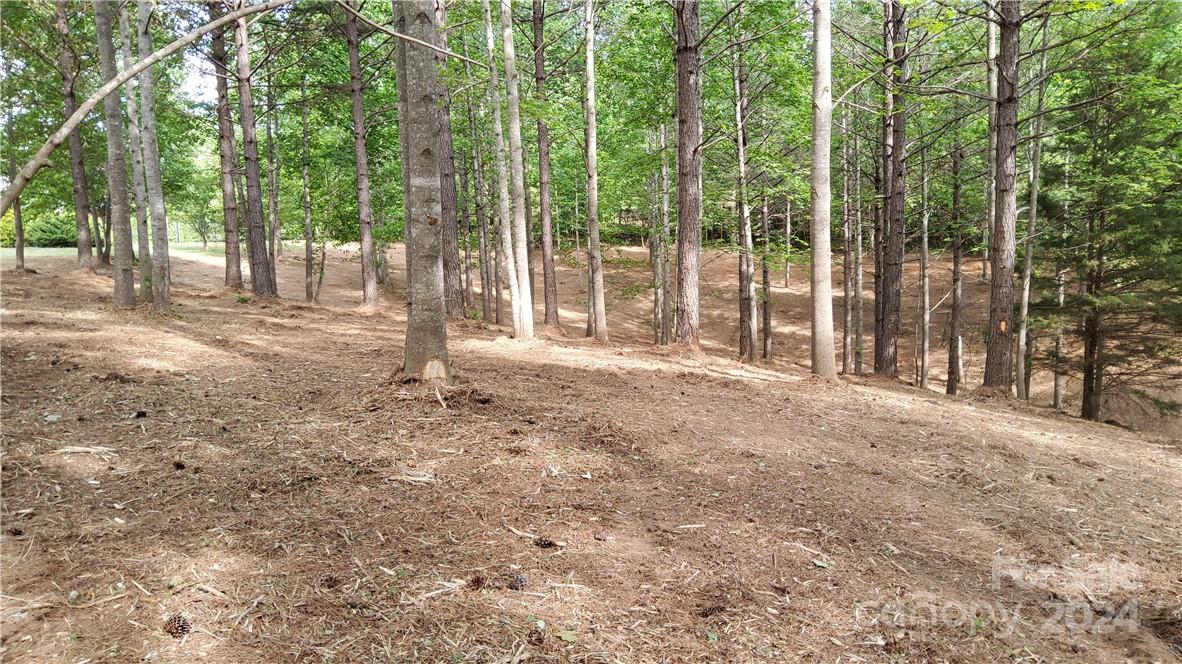 Hearthstone Ridge - Land