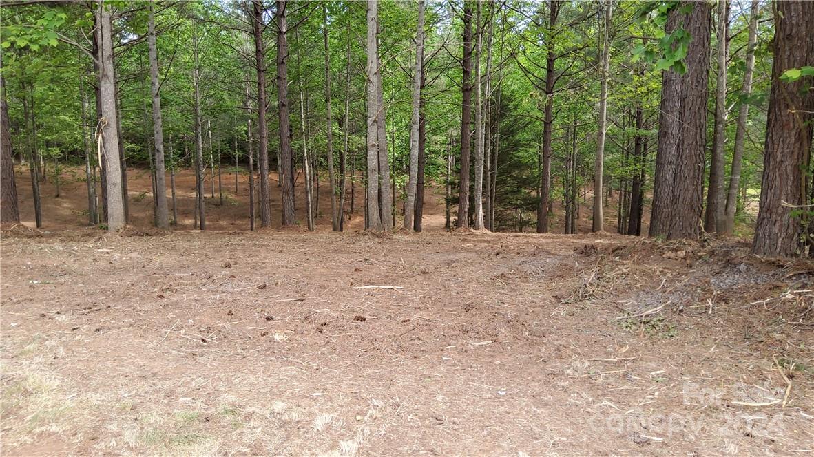 Hearthstone Ridge - Land