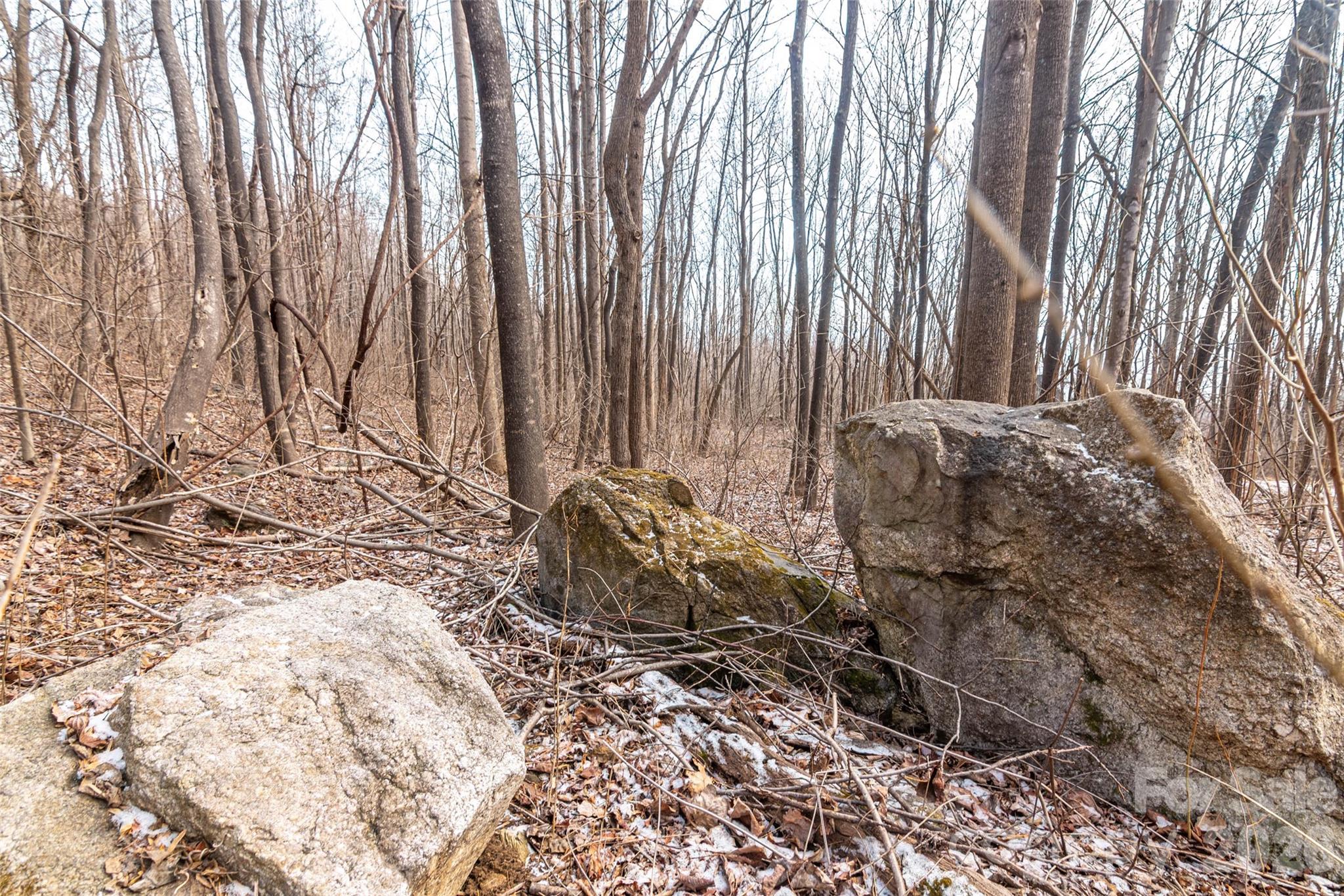 Brights Creek - Land