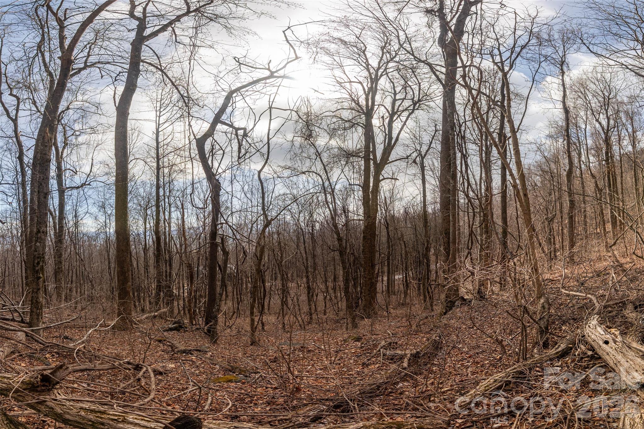 Brights Creek - Land