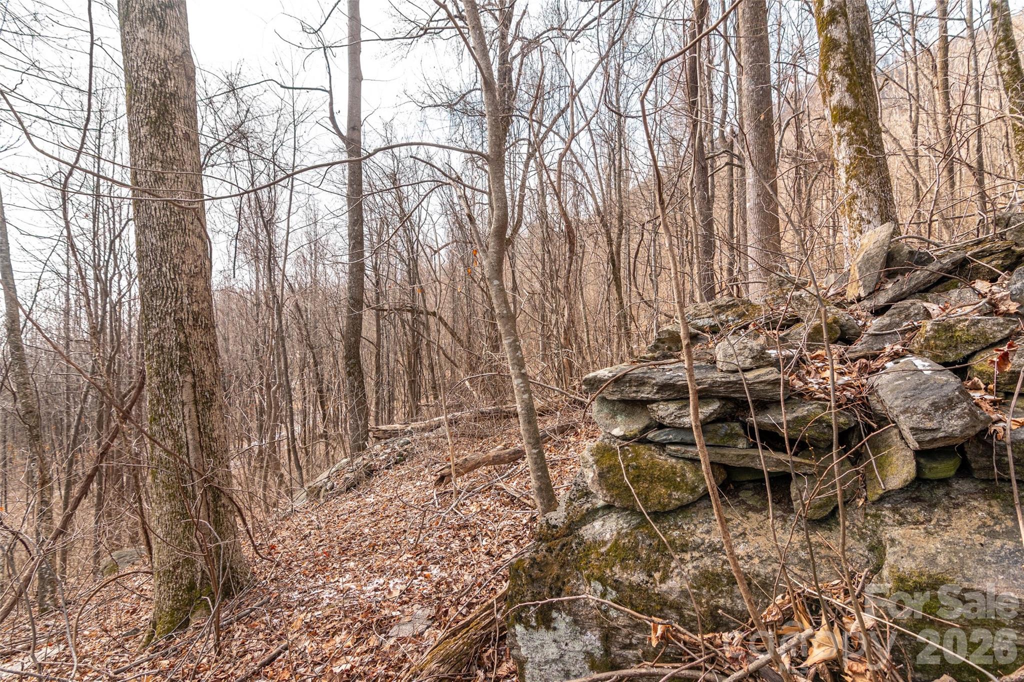 Brights Creek - Land