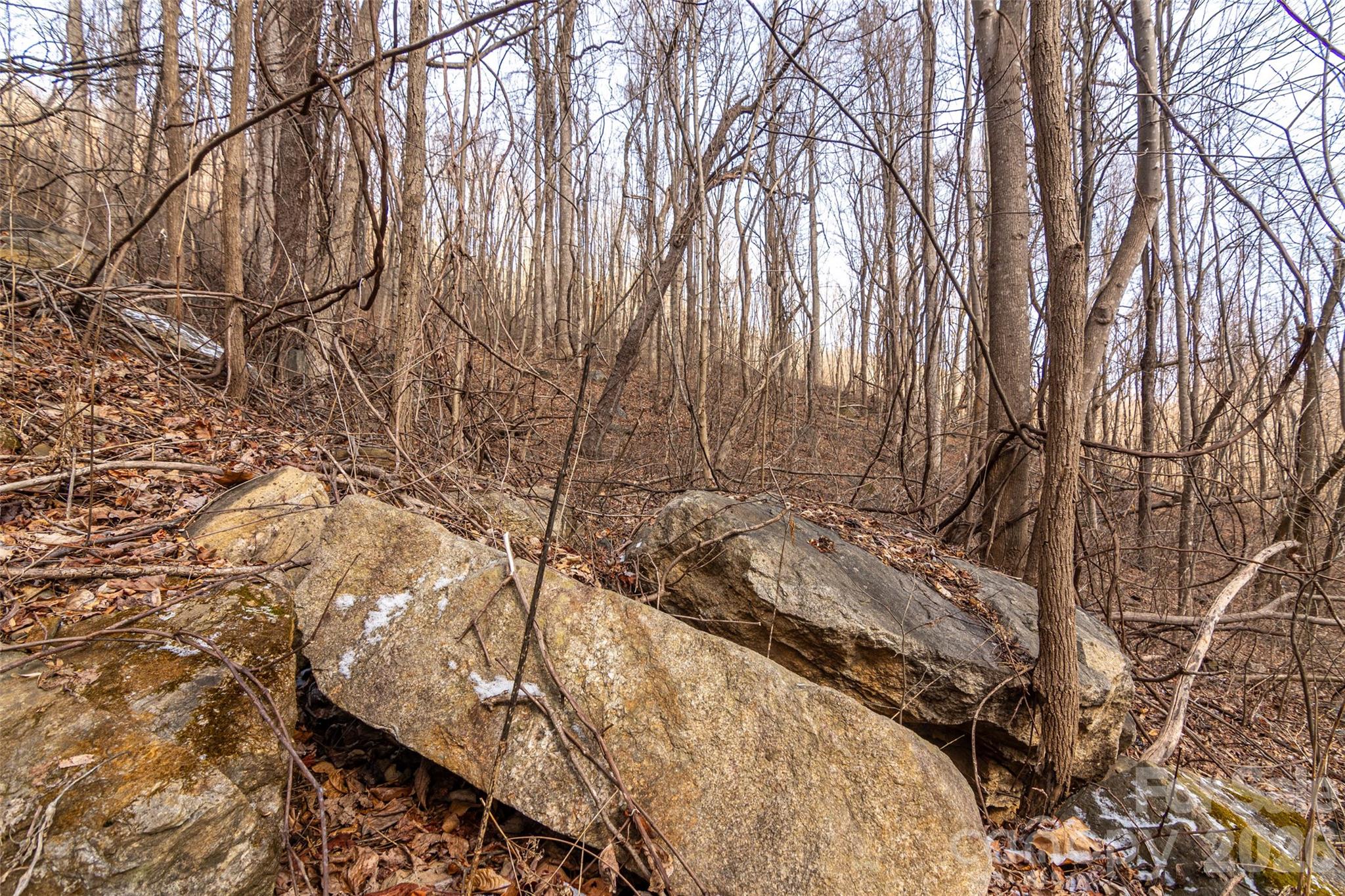 Brights Creek - Land