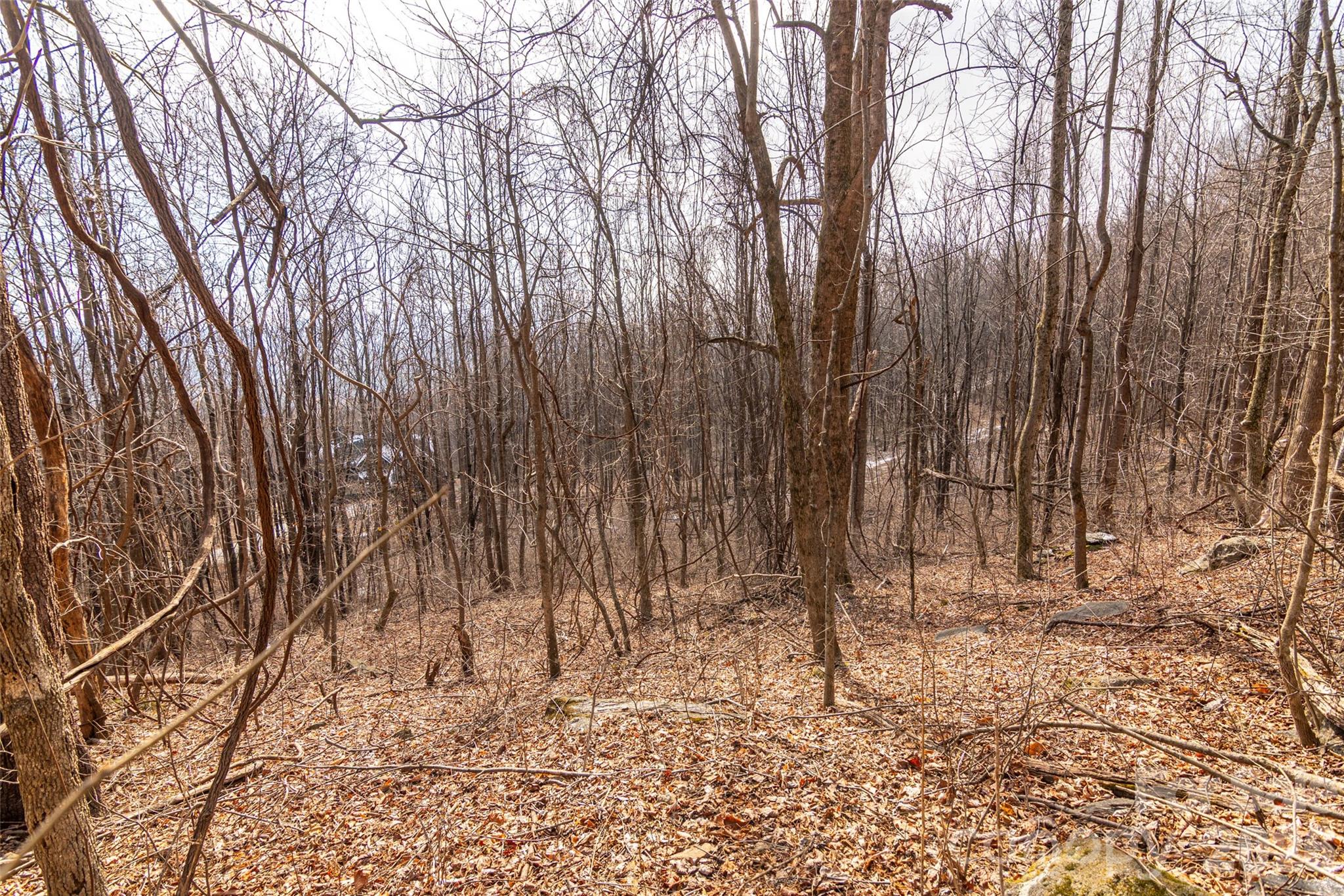 Brights Creek - Land