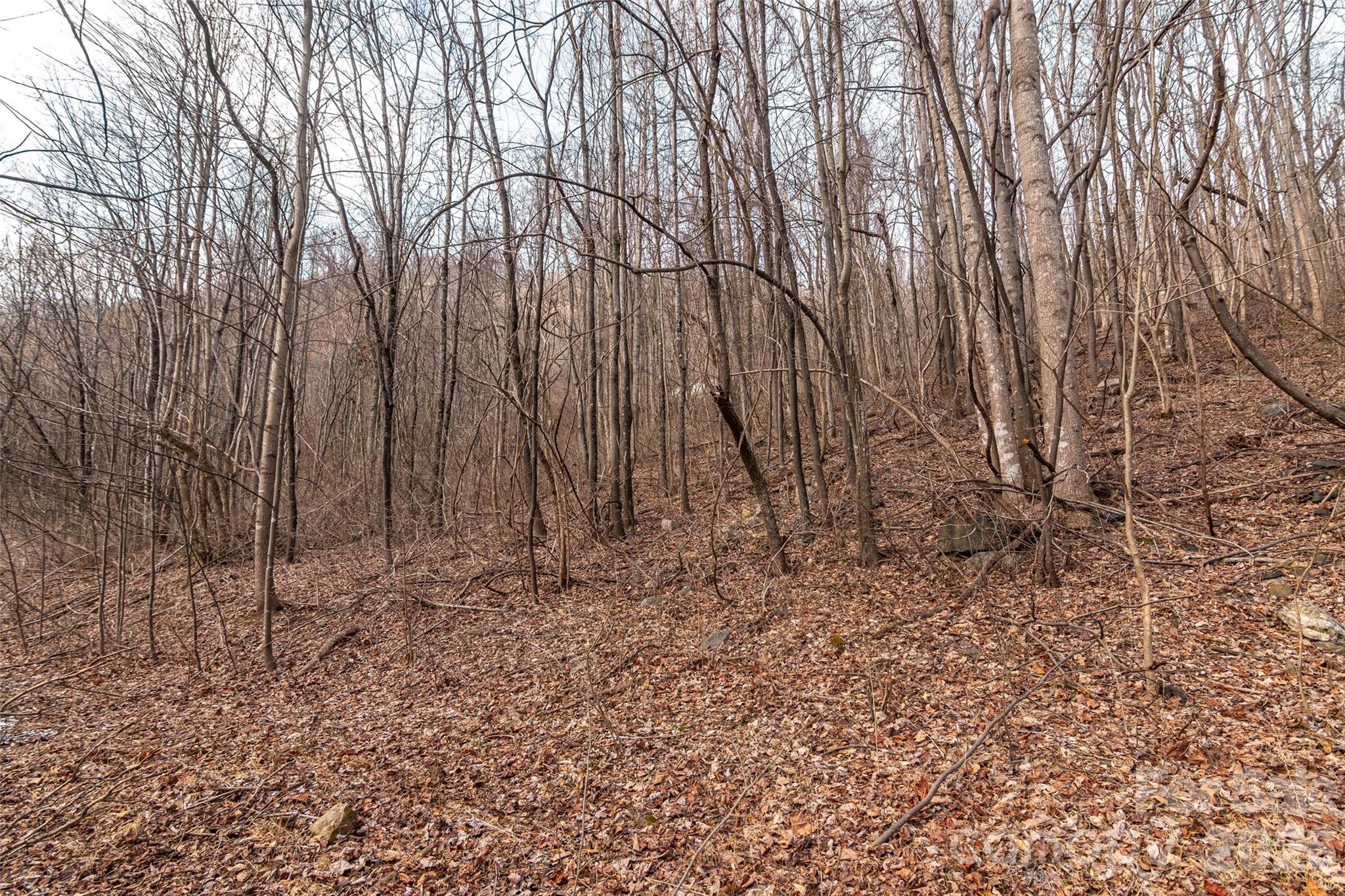 Brights Creek - Land