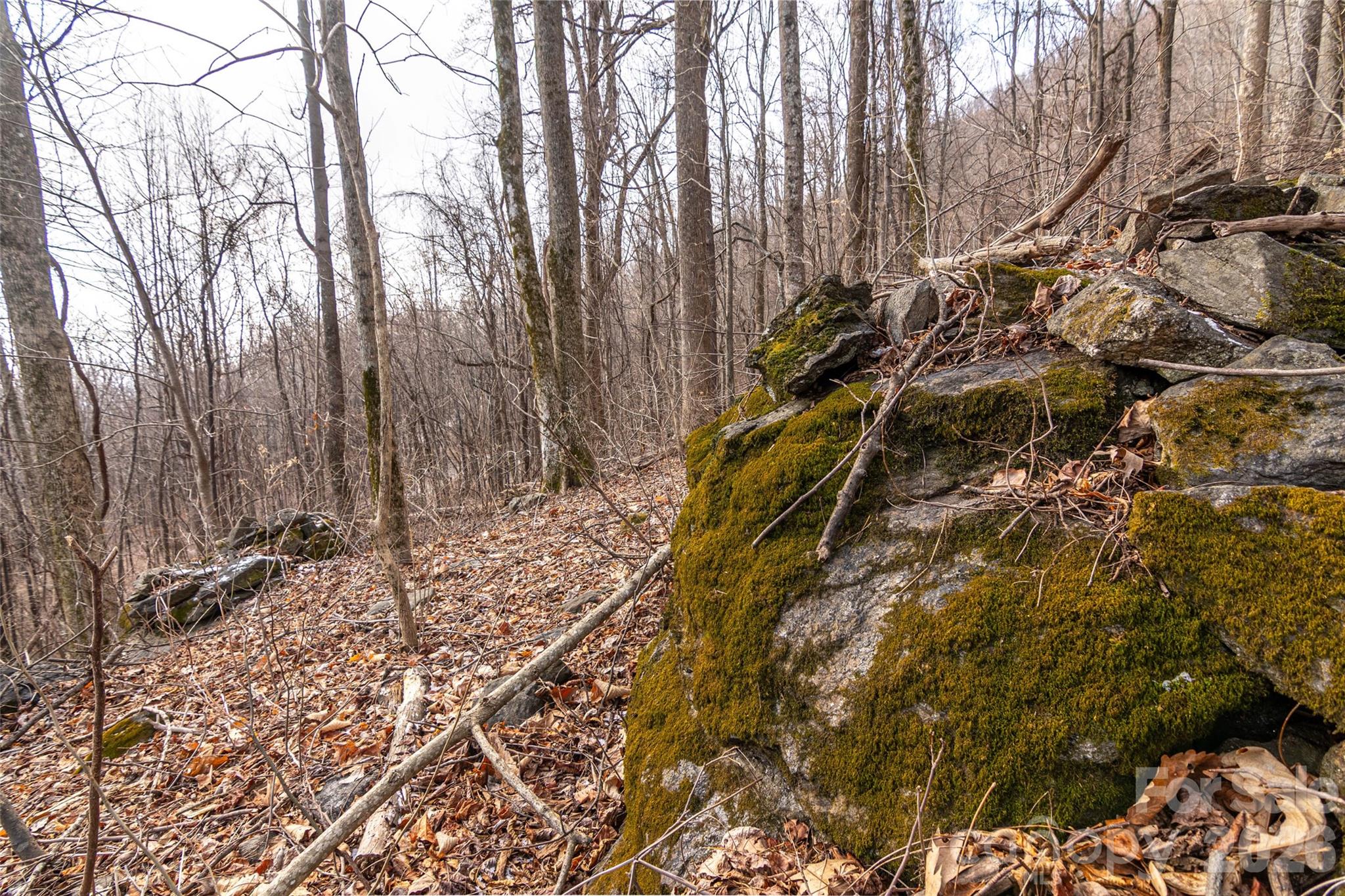 Brights Creek - Land