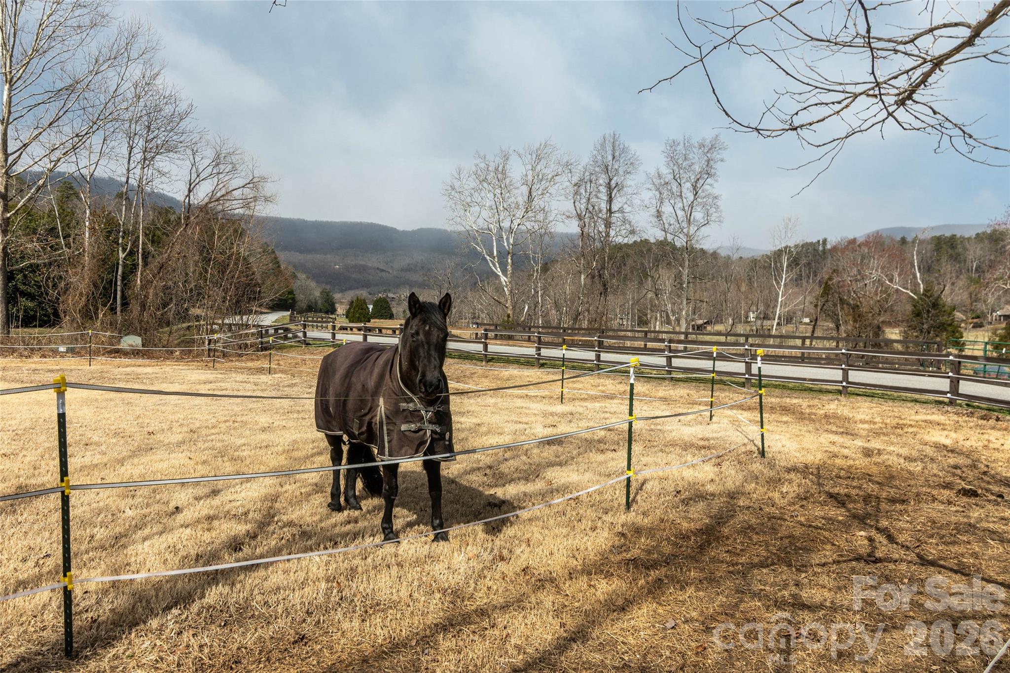Brights Creek - Land