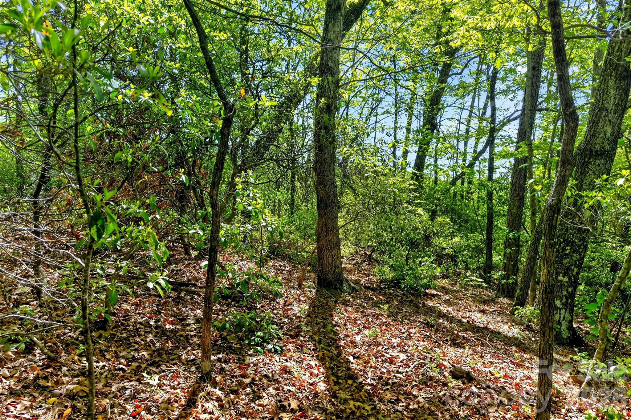 Gateway Mountain - Land