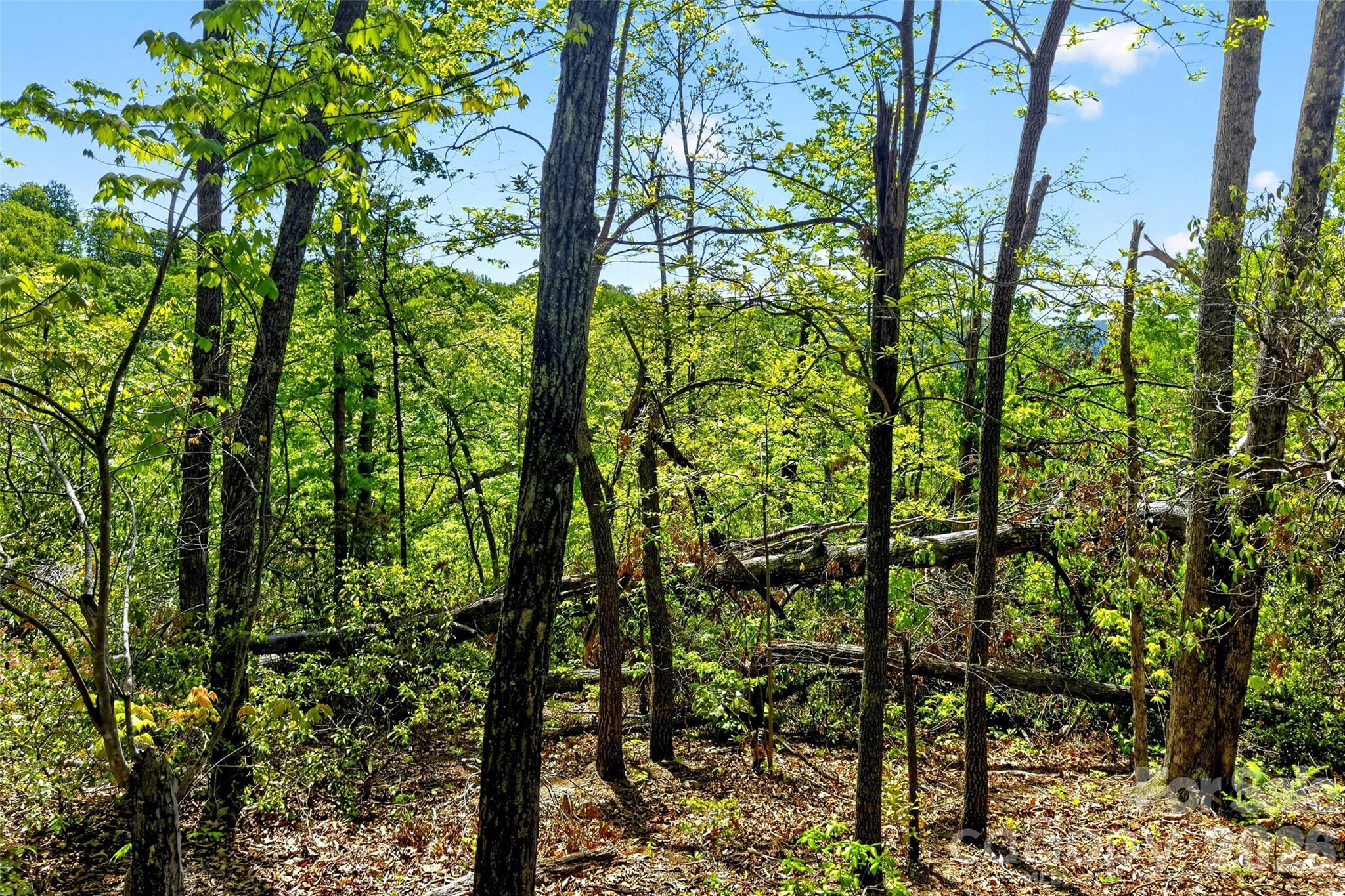 Gateway Mountain - Land