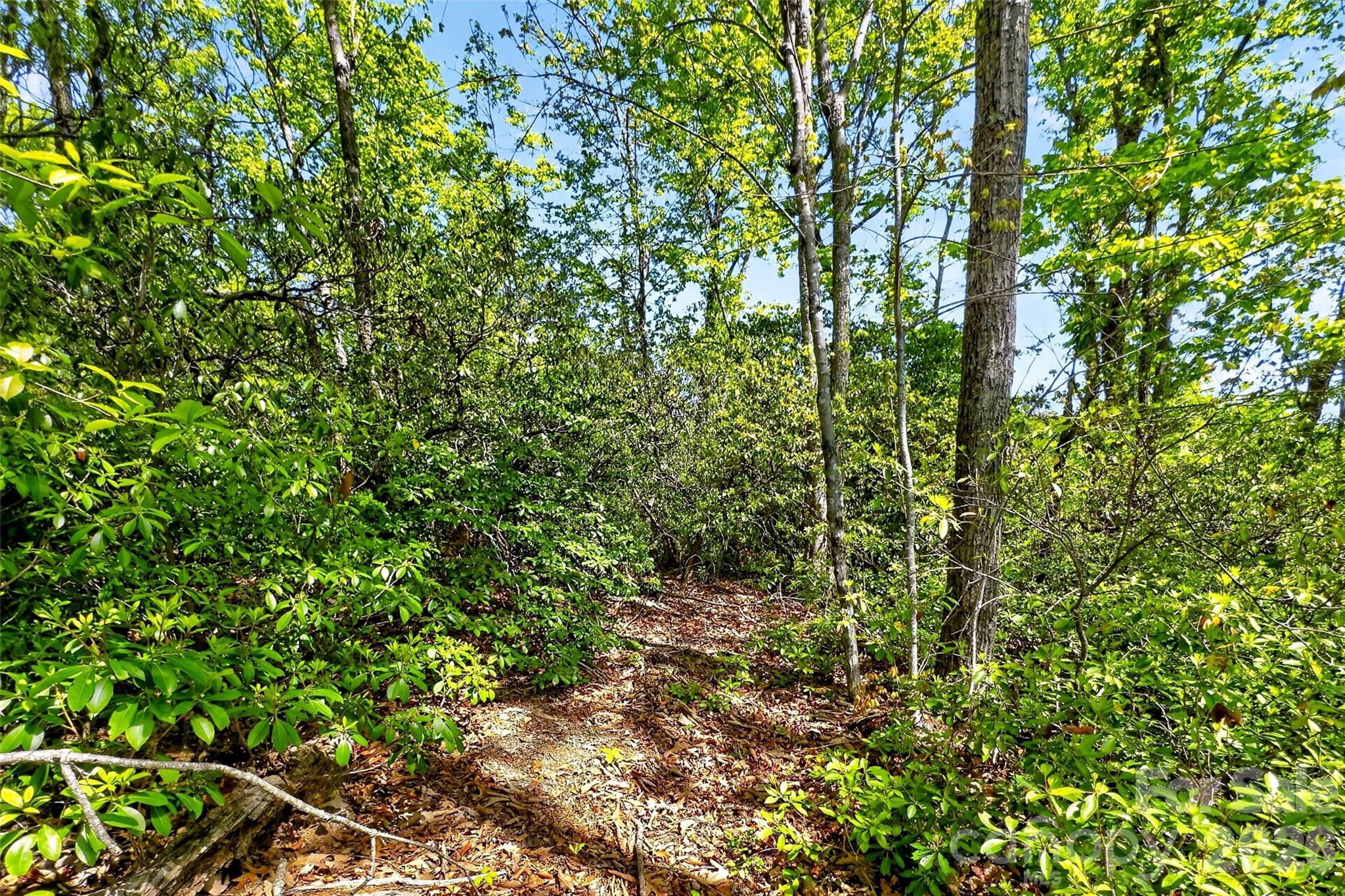 Gateway Mountain - Land