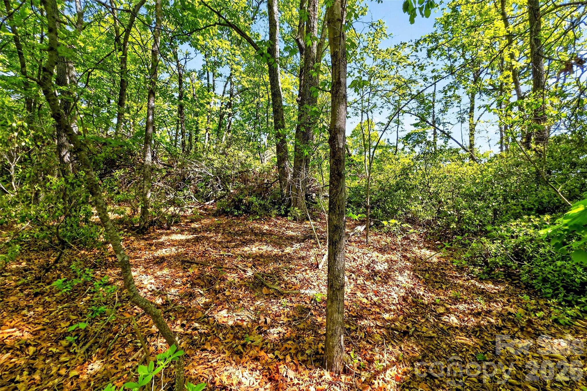 Gateway Mountain - Land